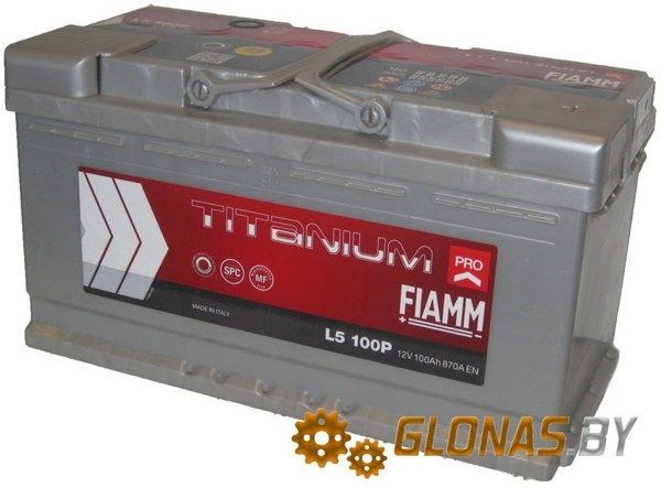 FIAMM Titanium Pro (100Ah)